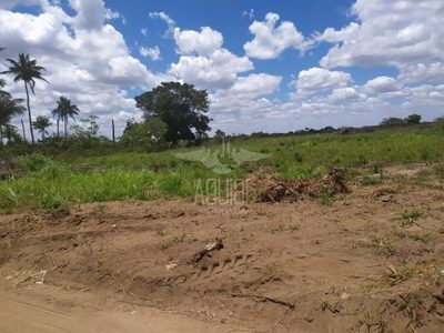 Terreno, 3 hectares - Foto 5