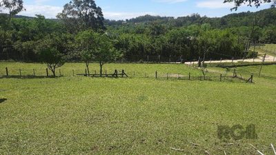 Sítio, 3 quartos, 40 m² - Foto 1