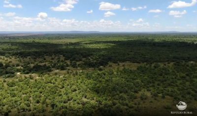 Fazenda, 690 hectares - Foto 4