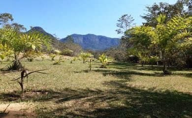 Sítio, 2 quartos, 2 hectares - Foto 1
