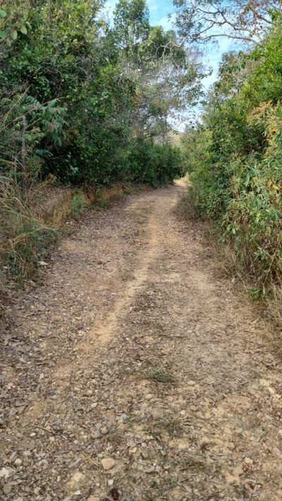 Chácara, 2 quartos, 2 hectares - Foto 2