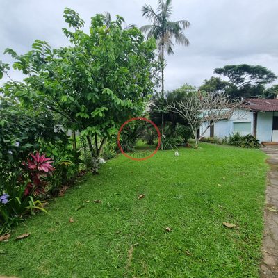Casa, 4 quartos, 230 m² - Foto 3