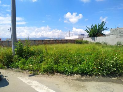 Terreno, 194 m² - Foto 1