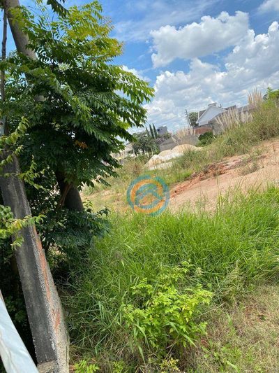 Loja-Salão, 1000 m² - Foto 4