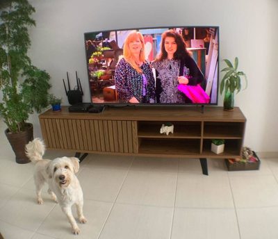 Apartamento, 3 quartos, 92 m² - Foto 5