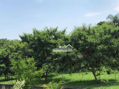 Terreno, 3120 m² - Foto 4
