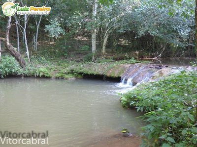 Terreno, 330 m² - Foto 5