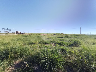 Terreno - Foto 5