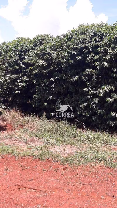 Fazenda, 278 hectares - Foto 4