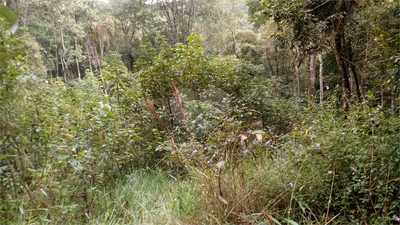 Casa de Condomínio - Foto 5