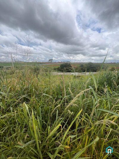 Terreno, 375 m² - Foto 4
