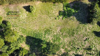 Terreno, 3 hectares - Foto 2