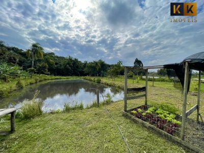 Sítio, 4 quartos, 5000 hectares - Foto 5