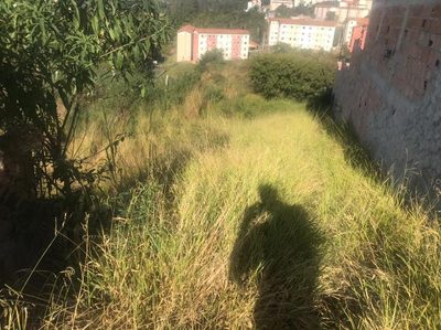 Terreno, 501 m² - Foto 4