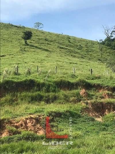 Terreno, 7 hectares - Foto 3