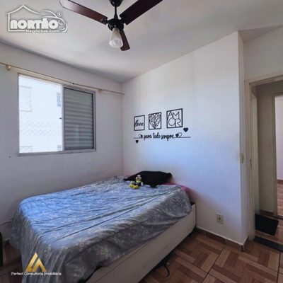 Casa, 2 quartos, 42 m² - Foto 5