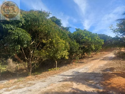 Chácara, 2 quartos, 2000 m² - Foto 2