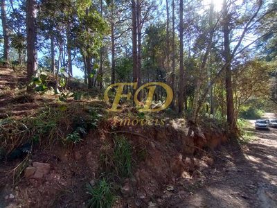 Terreno, 2410 m² - Foto 3