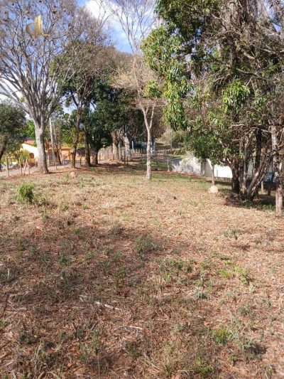 Terreno, 4000 m² - Foto 2