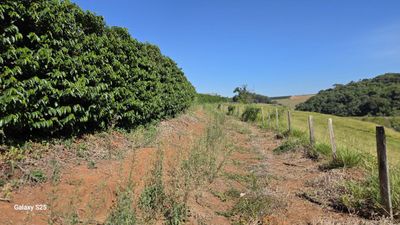 Sítio, 3 quartos, 19 hectares - Foto 3