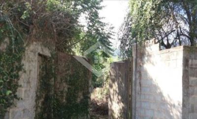 Terreno, 1300 m² - Foto 3