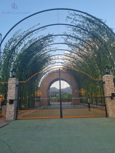 Terreno, 607 hectares - Foto 2