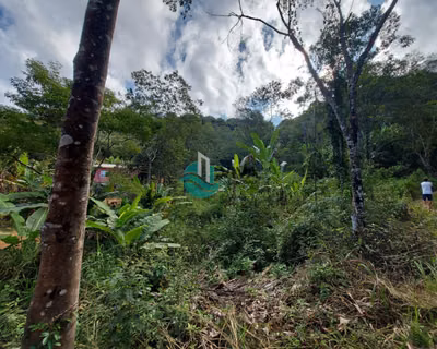 Terreno, 2330 m² - Foto 5