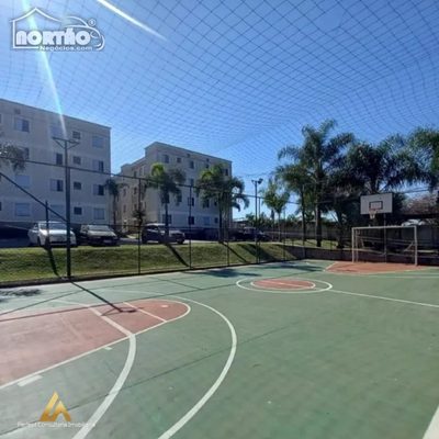 Casa, 3 quartos, 45 m² - Foto 3