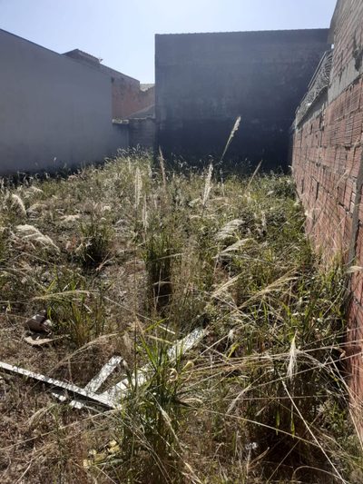Terreno, 250 m² - Foto 3