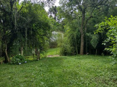 Terreno, 70 hectares - Foto 3