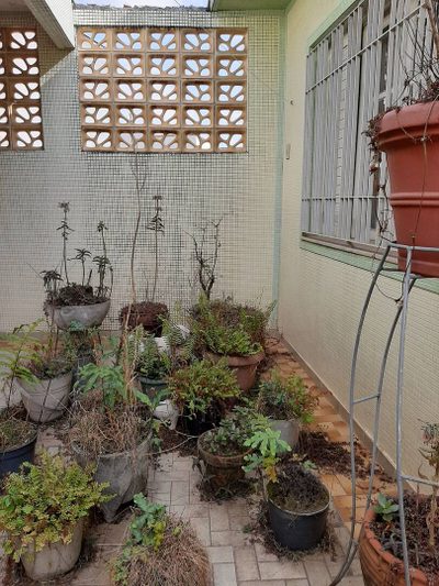 Casa, 3 quartos, 294 m² - Foto 4