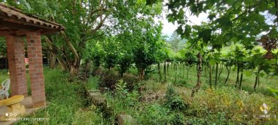 Casa, 2 quartos, 120 m² - Foto 3