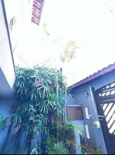 Sobrado, 4 quartos, 221 m² - Foto 2