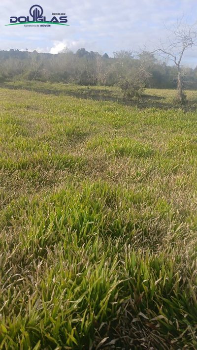 Terreno, 3 hectares - Foto 2