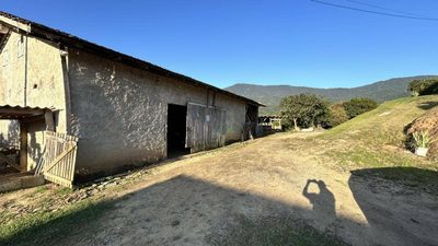 Terreno, 12 hectares - Foto 5