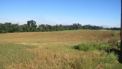 Terreno, 2 hectares - Foto 2