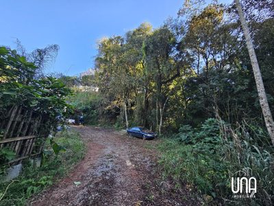 Terreno, 1190 m² - Foto 5