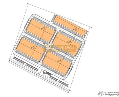 Terreno, 29 hectares - Foto 3