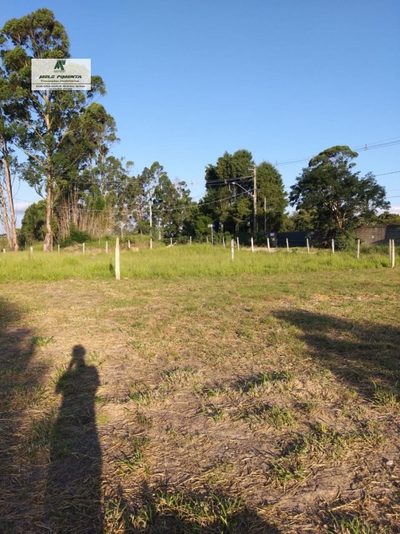 Terreno, 2000 m² - Foto 2