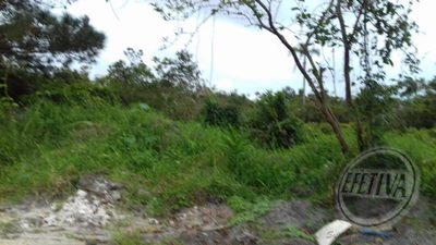Terreno, 450 m² - Foto 3