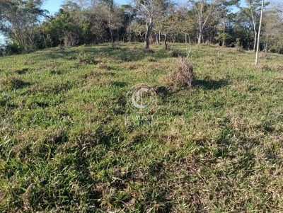 Terreno, 11 hectares - Foto 4