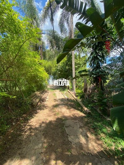 Chácara, 1 quarto - Foto 5