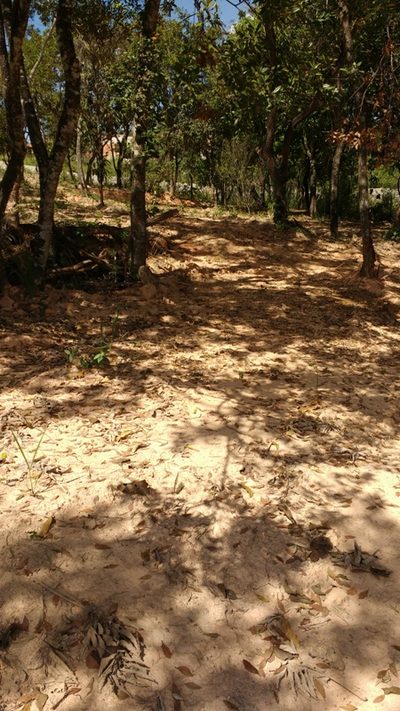 Chácara, 3 quartos, 8000 m² - Foto 2