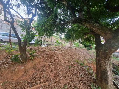 Terreno, 221 m² - Foto 2