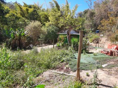 Sítio, 2 quartos, 2 hectares - Foto 3