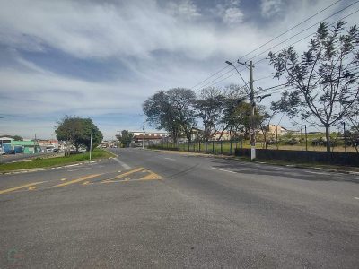 Terreno, 4 hectares - Foto 4