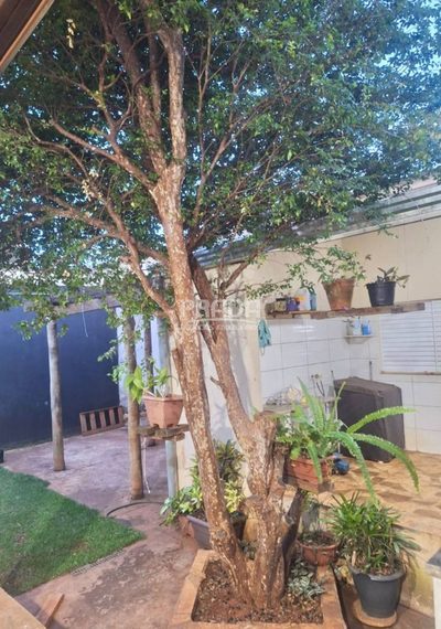 Casa, 3 quartos, 220 m² - Foto 2