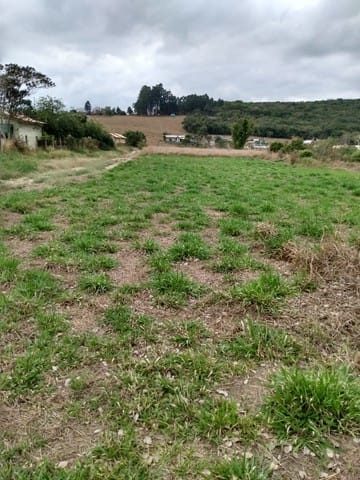 Terreno, 1000 m² - Foto 4