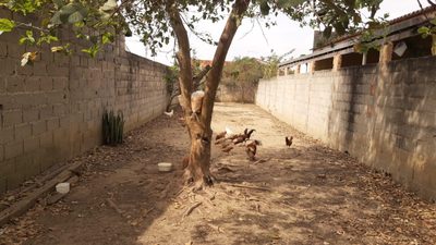 Terreno, 180 m² - Foto 1
