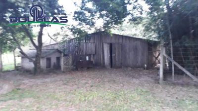 Sítio, 3 quartos, 2 hectares - Foto 3